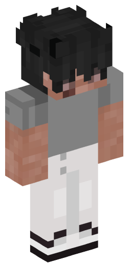 Minecraft Skin #211821