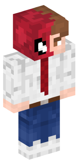 Minecraft Skin #211912