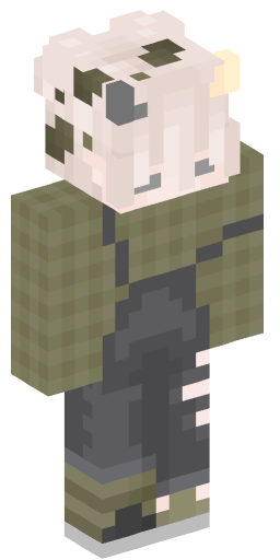 Minecraft Skin #212116