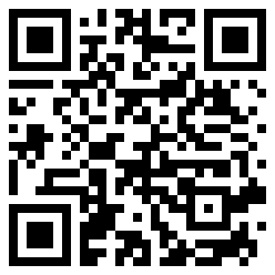 Ideale QR Code