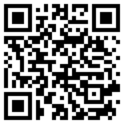 Heavy QR Code