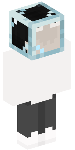 Minecraft Skin #212599