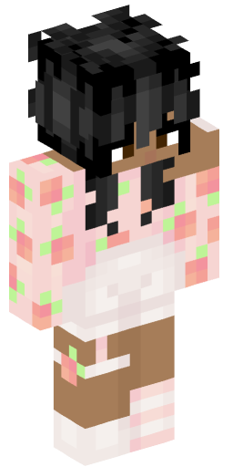 Minecraft Skin #213323