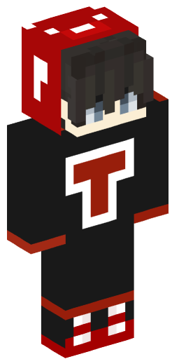 Minecraft Skin #213501