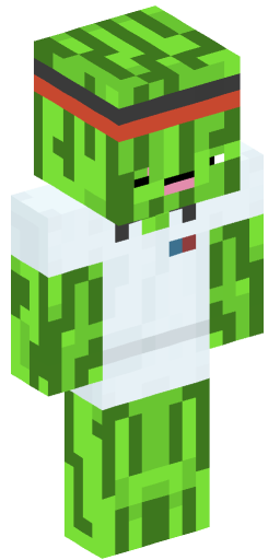 Minecraft Skin #213798