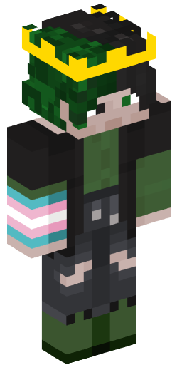 Minecraft Skin #214005