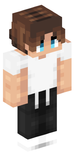 Minecraft Skin #214222