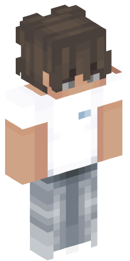 Minecraft Skin #214223