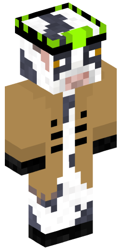 Minecraft Skin #214434