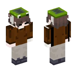Minecraft Skin #214477