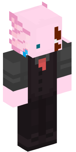 Minecraft Skin #214514