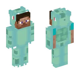 Minecraft Skin #214643