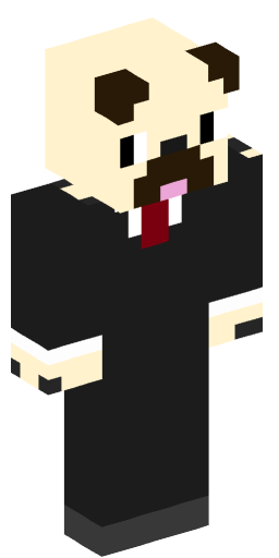 Minecraft Skin #214911