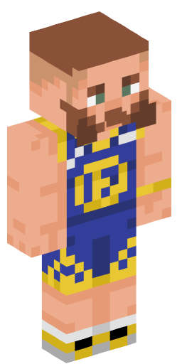 Minecraft Skin #215313