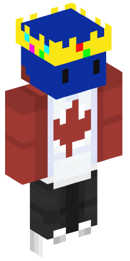Minecraft Skin #216500