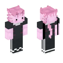 Minecraft Skin #216534