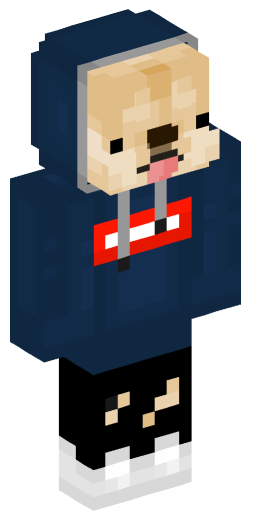 arrow384 Minecraft Skin Preview on Minecraft.Co.Com