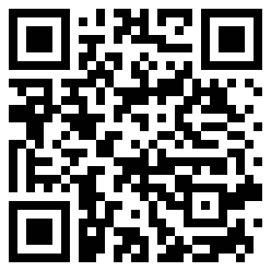 VillagerN4 QR Code