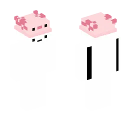Minecraft Skin #217611