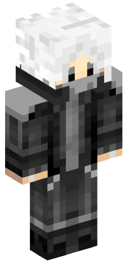Minecraft Skin #219242
