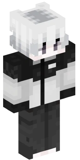 Minecraft Skin #219304
