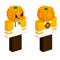 Minecraft Skin #219314