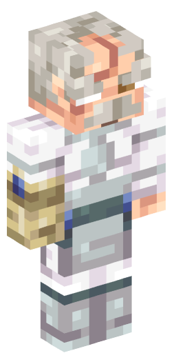 Minecraft Skin #219839