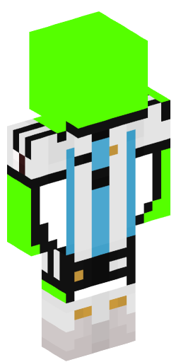 Minecraft Skin #219893