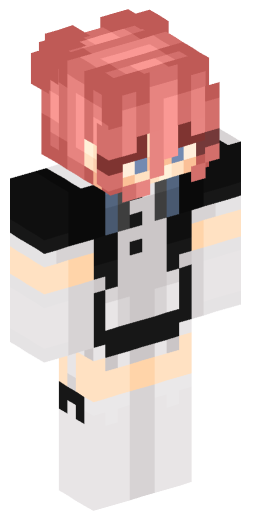 Minecraft Skin #220308