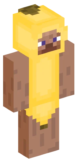 Minecraft Skin #220311