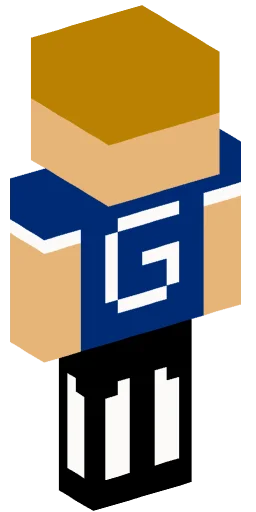 Minecraft Skin #220461