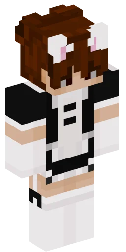 Minecraft Skin #220606