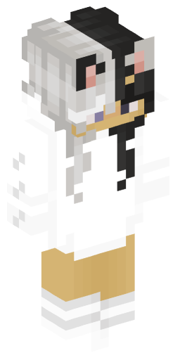 Minecraft Skin #220793