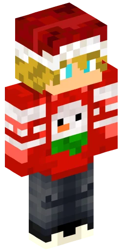 Minecraft Skin #221120