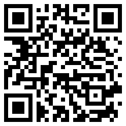Noelle QR Code