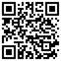 NoelleVL QR Code