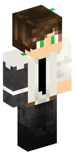 Minecraft Skin #221199