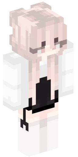 Minecraft Skin #221201