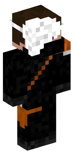 Minecraft Skin #221226