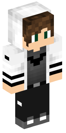 Minecraft Skin #221237