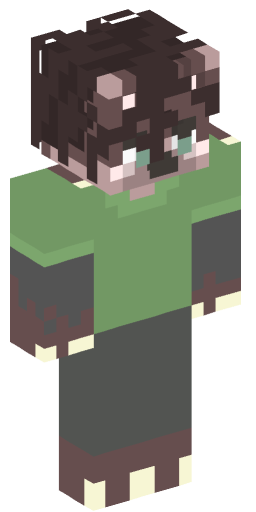 Minecraft Skin #221273