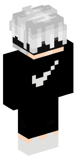Minecraft Skin #221317