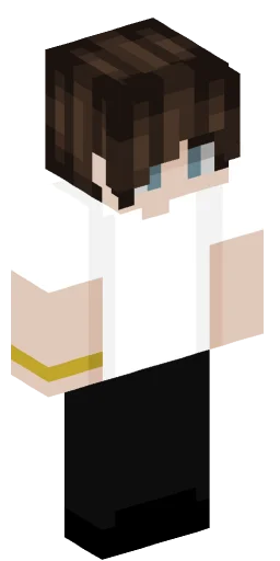 Minecraft Skin #221363