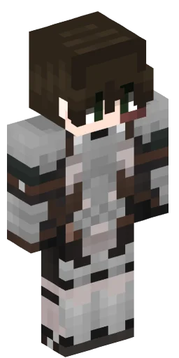 Minecraft Skin #221368