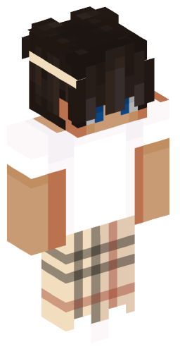 Minecraft Skin #221406
