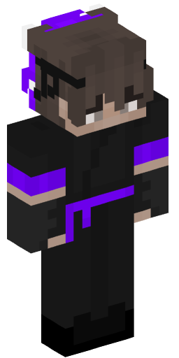 Minecraft Skin #221438