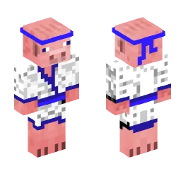 Minecraft Skin #221488