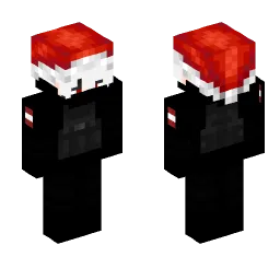 Minecraft Skin #221490
