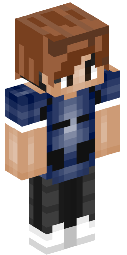 Minecraft Skin #221603