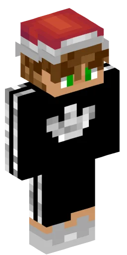 Minecraft Skin #221607